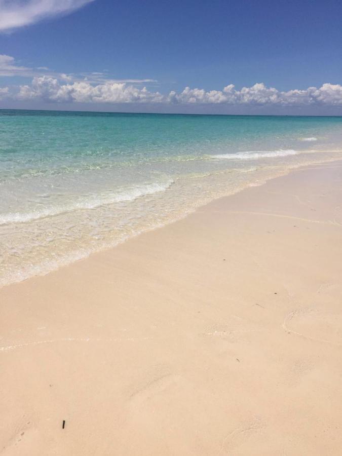 Villa Thamani Zanzibar プワニ・チャンガーニ エクステリア 写真